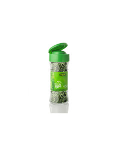 Albahaca Bio 12g Especias Artemis